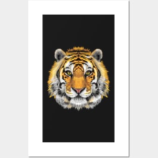 Tiger Posters and Art